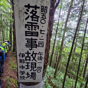 何でもない普通の木に落雷事故あったそうです。