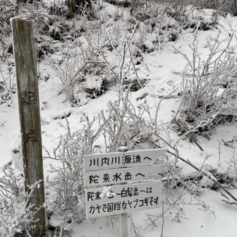 🍀さんはこちらにも行きたかったらしい。
今日はダメダメ🙅‍♀️と言いました😅