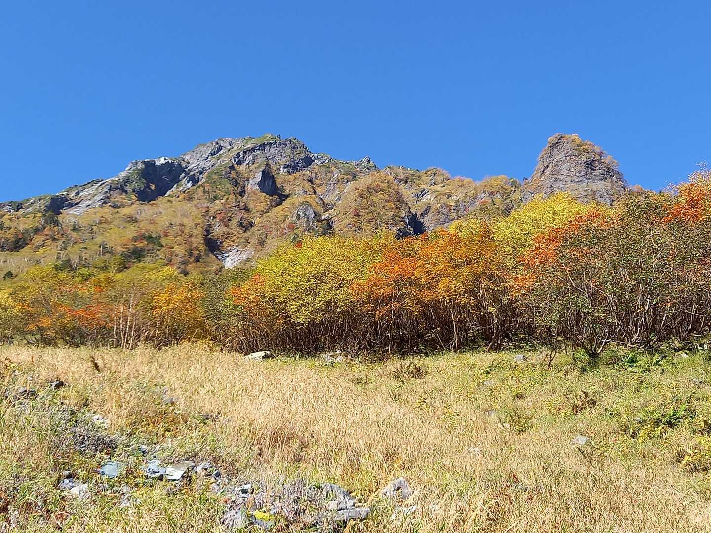 紅葉の北岳