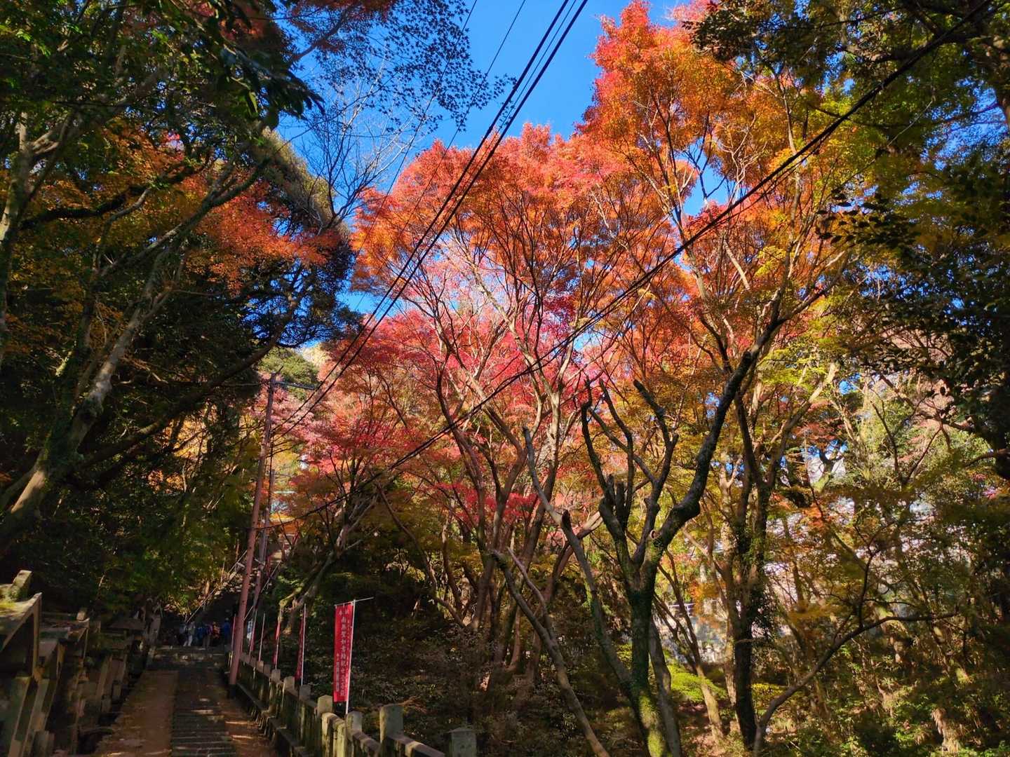 JR元町駅-再度越-新神戸駅 コースの写真