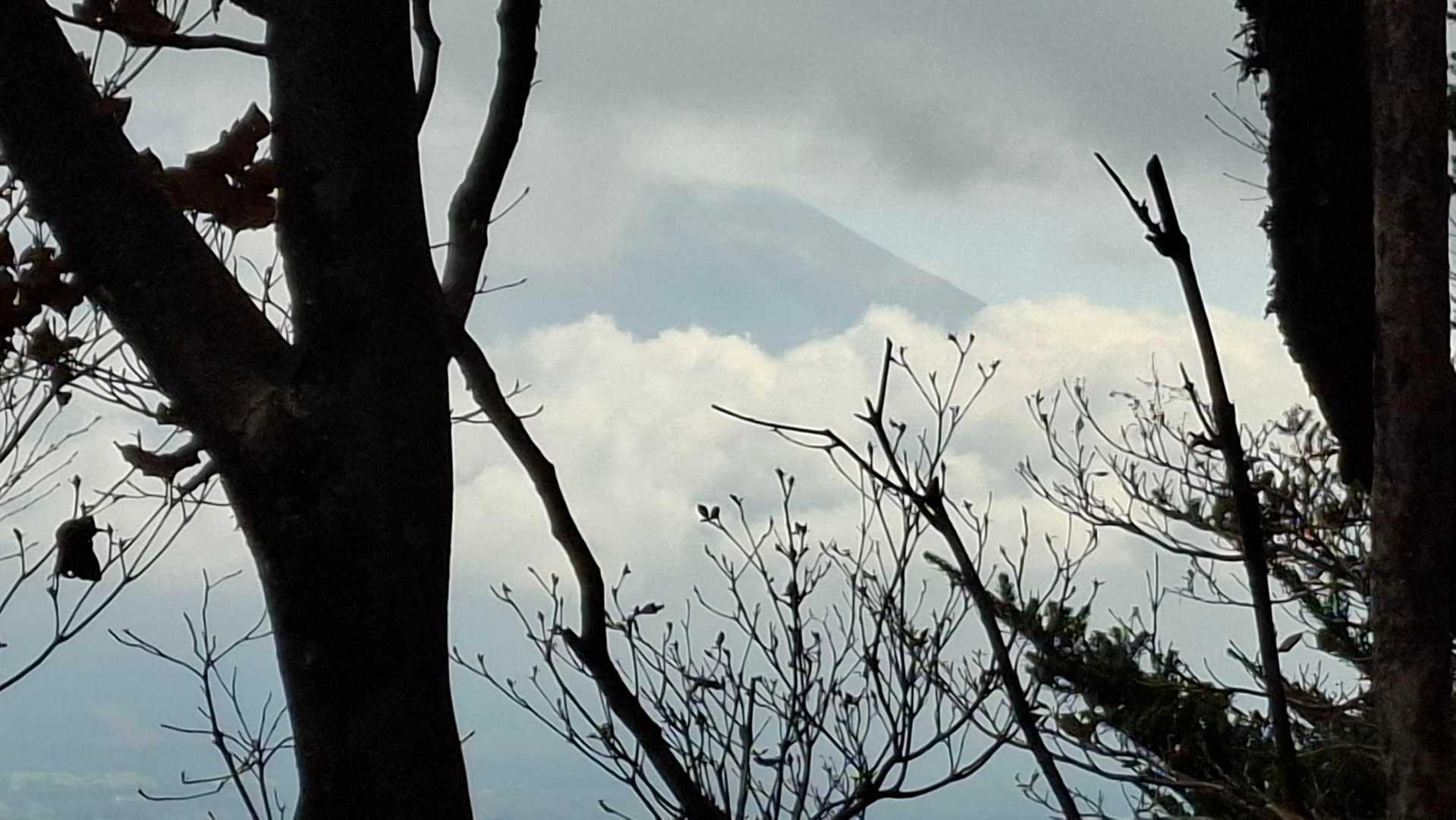 あっ、富士山がちょこっと顔を出した👀

『いつも当たり前に富士山見て生活してるのに、こうなると見たくて仕方なくなるもんだね』って我が家の相方さん🤭