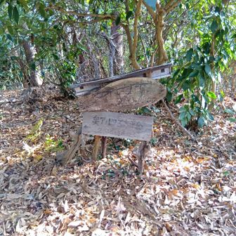 (43)奥アルプスの案内板あるけど、今回攻略は許してやる!!(訳：勘弁してつかぁさい…)