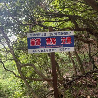 水沢峠からは雨降りの時は特に足を滑らしそうなルート。