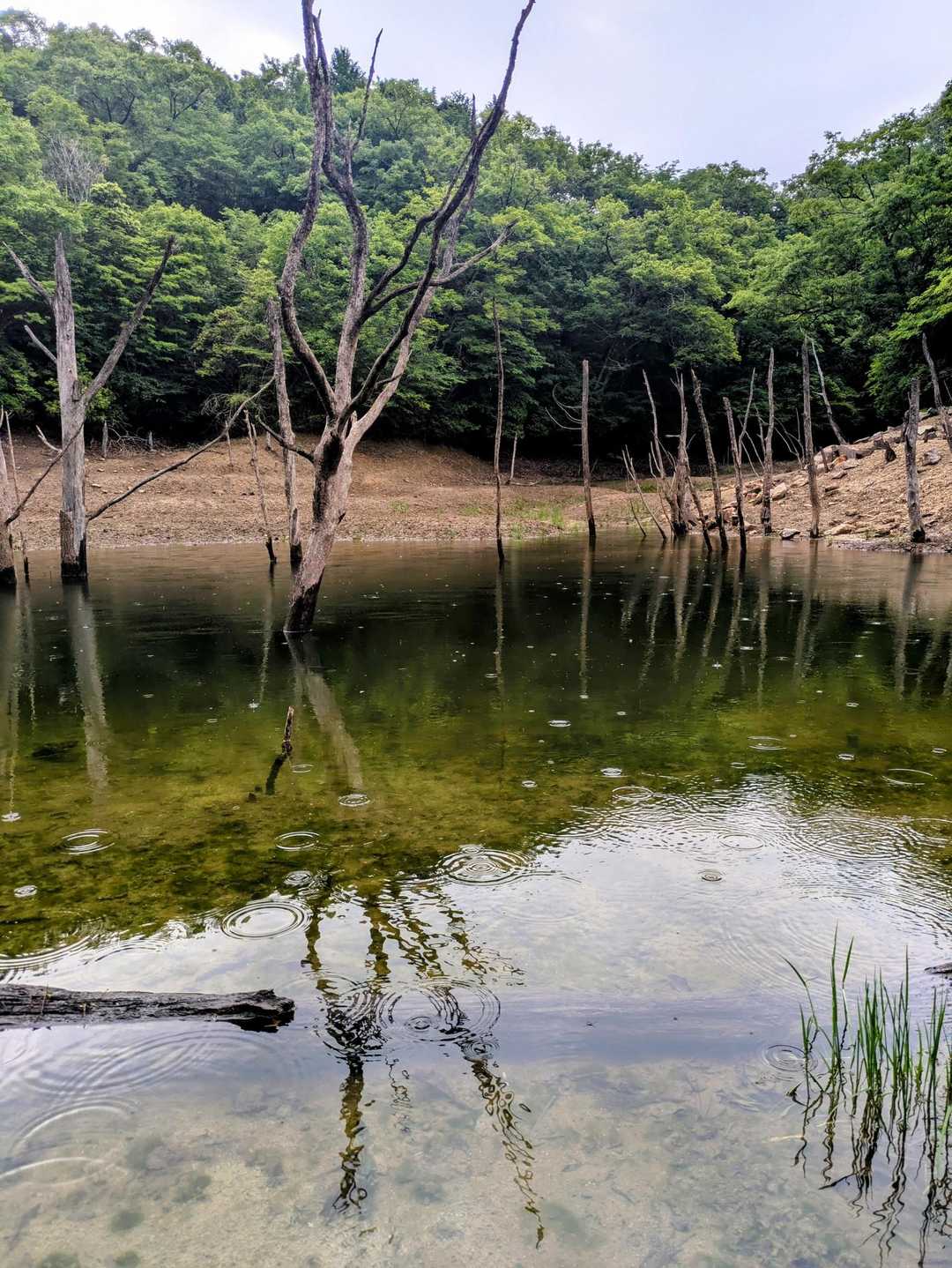 雨が・・・