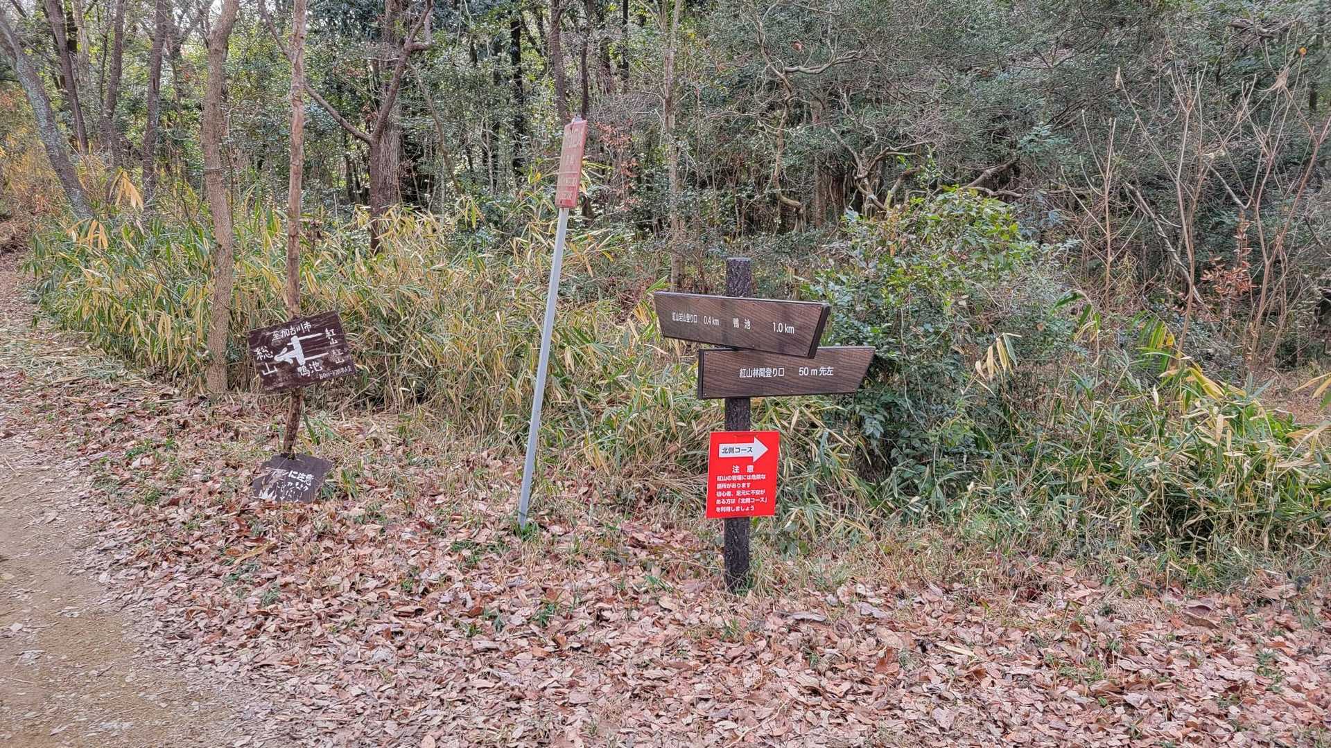 紅山だけでいいと思ってましたが、惣山も行くことにしました。