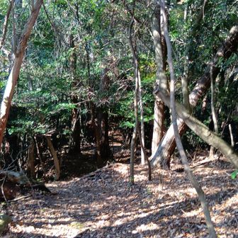 気持ち少し縦走的..