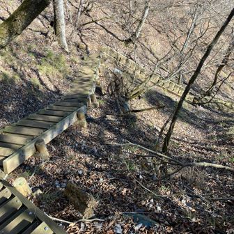 このルートは木階段は最初だけだね。