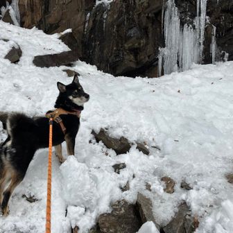 四王寺の滝に着きました。