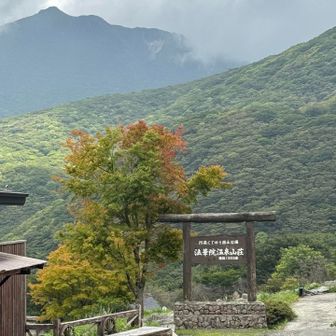 ちよこっと紅葉🍁