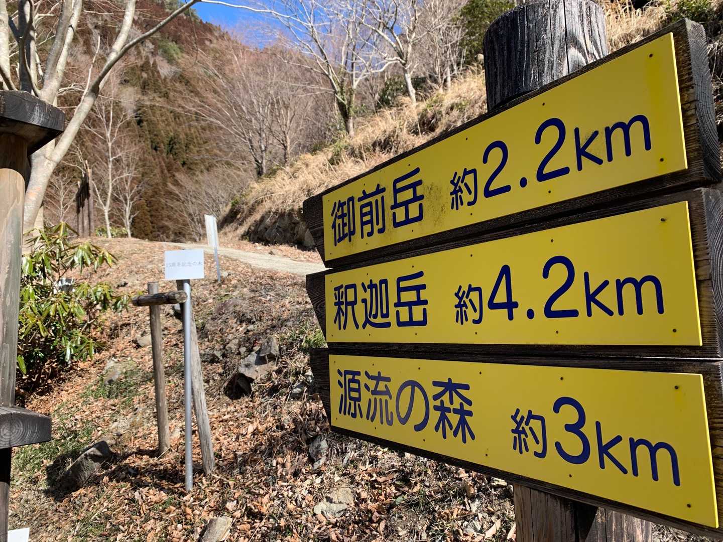 スタートやや遅し、、