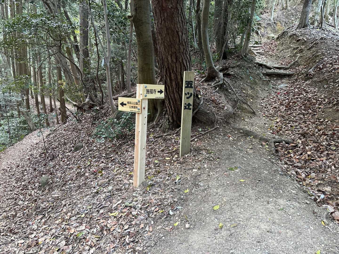 五ツ辻分岐
今日は槇尾山施福寺方面⤴️には行かず…