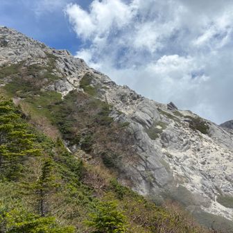 鋭くて白い吉沢亮ですわーーーーーー！