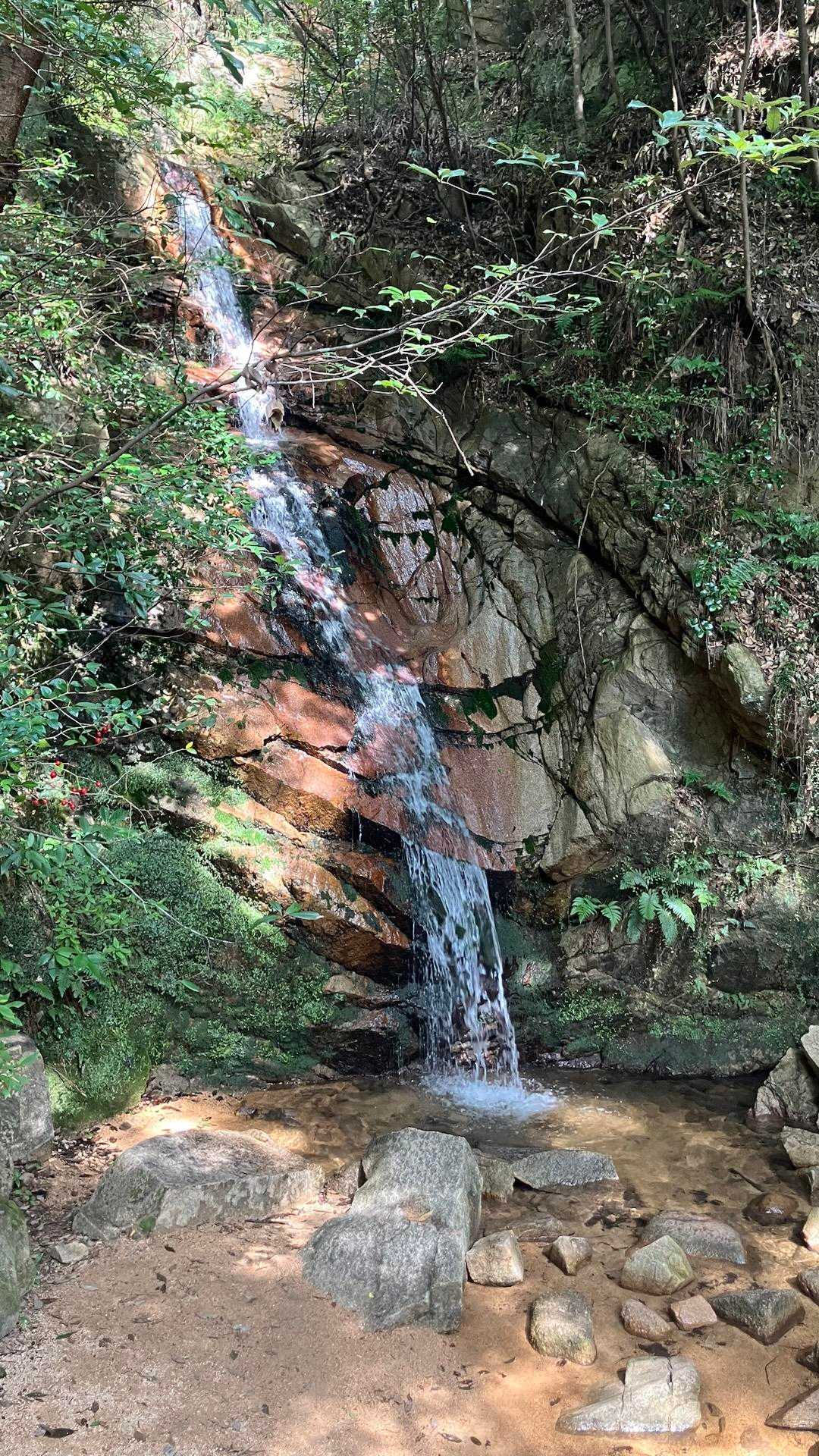 暑さで蚊もいないと思ったらブンブン飛んでる💦
週末に富士登山を控えた長女に２日前にザックや色々一色貸した時にいつもザックに入れてるものを一旦出したら虫除けスプレーも忘れてきたので友達のを拝借🙏