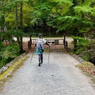 林道は駆け抜けてゴール。

今回、秋の幌尻岳なかなか良かったです。
次回再訪時は山荘を経由する違うコースから楽しみたい。