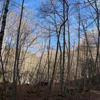 ここにも駐車可