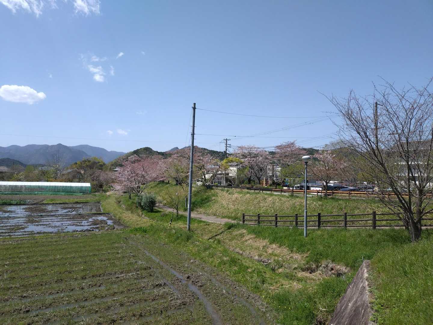下山後駐車場までてくてく。
のどかな田園風景🌸