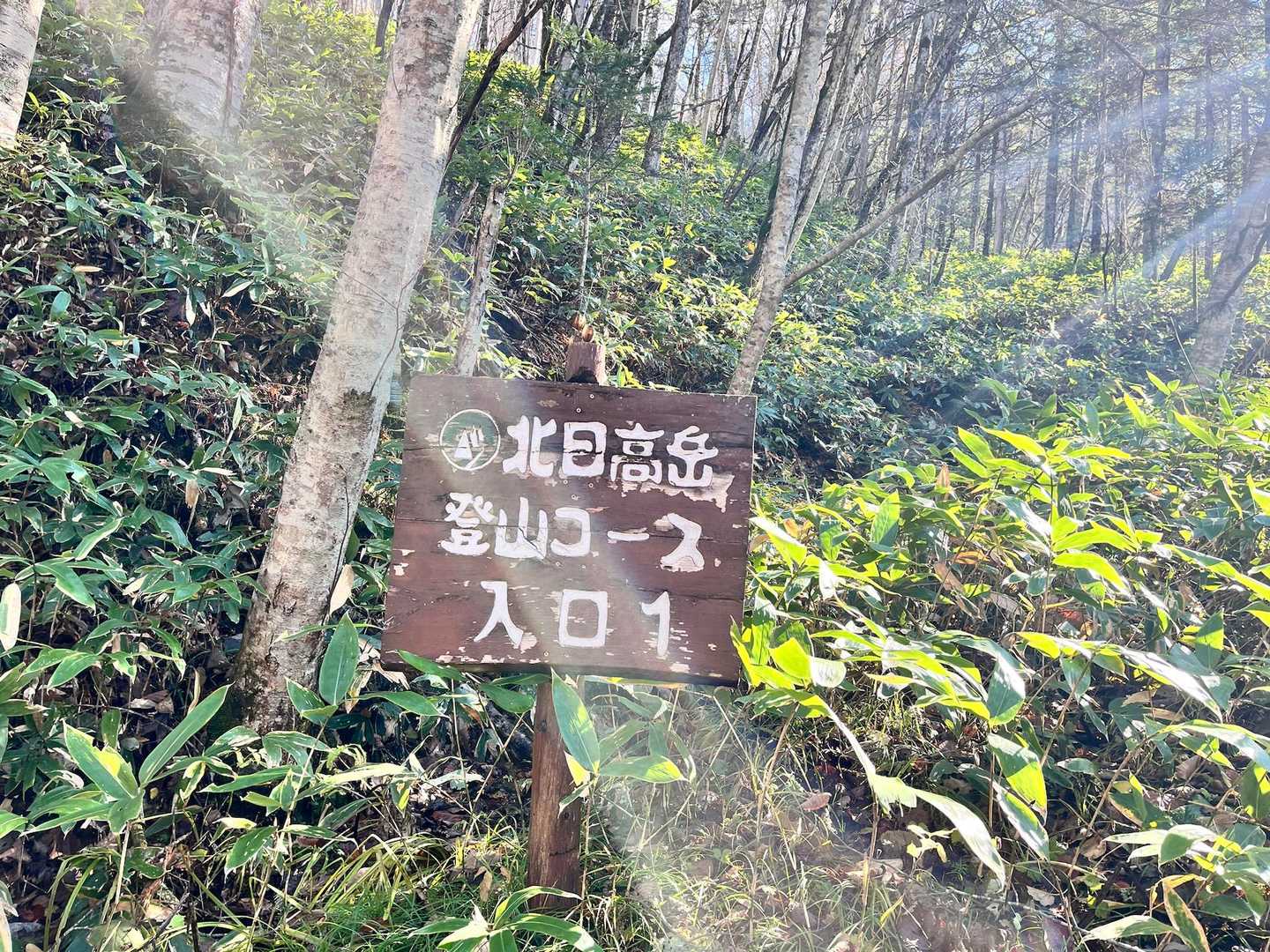 この看板が出ても、まっすぐ進みます！