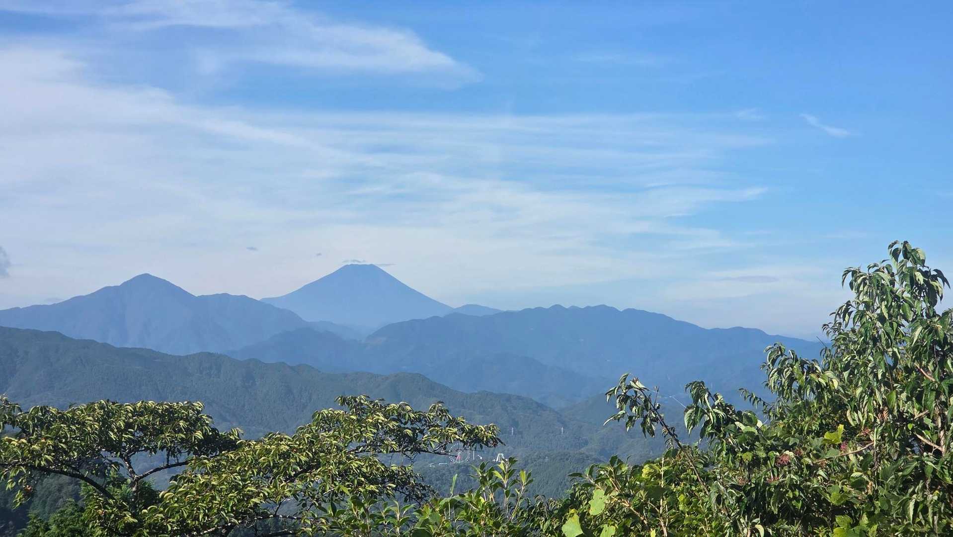 富士山見れました