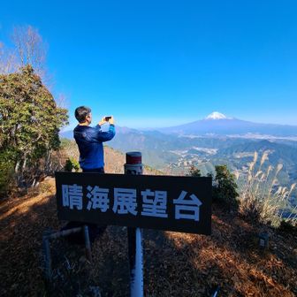 ここから絶景がみられました