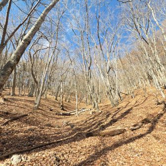 この感じ良くないですか？😆