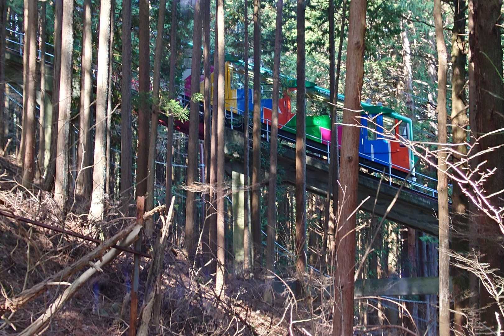 下山路でケーブルカーと並行して歩きました😃
