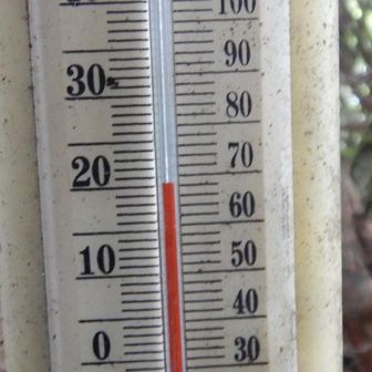 20度なるも、蒸し暑い