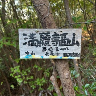 と、のんびりしていたけど我に返り進む。
長尾山まで行く予定だっけどおなかもすいたので変更。
本日ラストピーク。万願寺西山。
