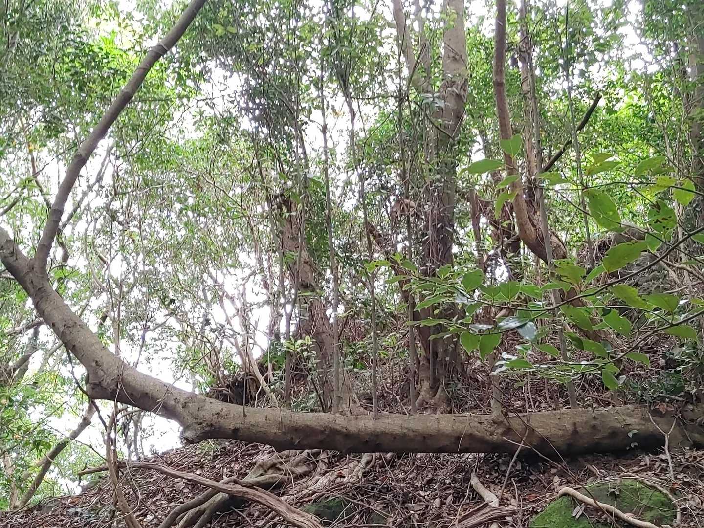 あれれ！どうなってるの？