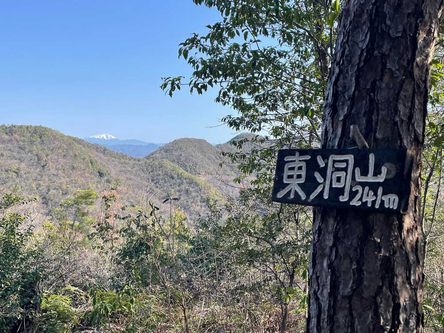 東洞山に着きました！！