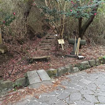 鹿谷寺ルートから