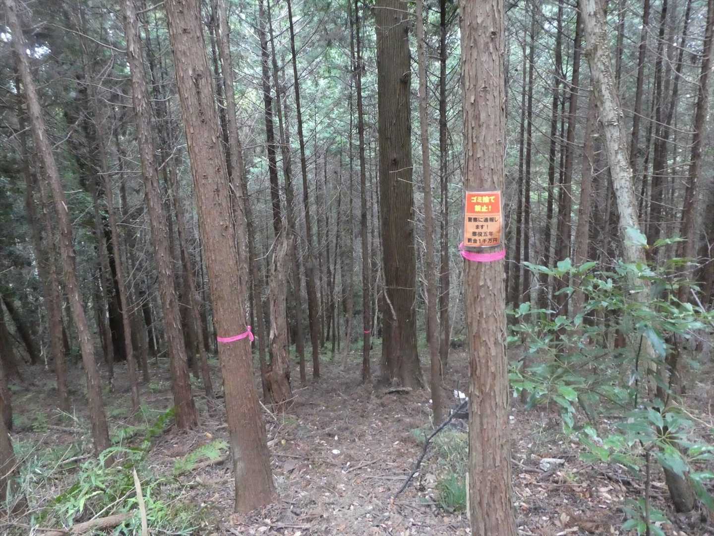 不動の滝に向かいます