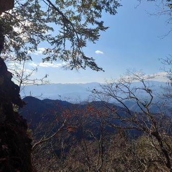 でもいい眺めだ✨