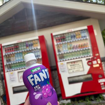 無心で下山しました。
登山口にお疲れ様と冷えたジュースが待ち構えている🥤
もちろんいただきます。
楽しかった❣️また来ます。