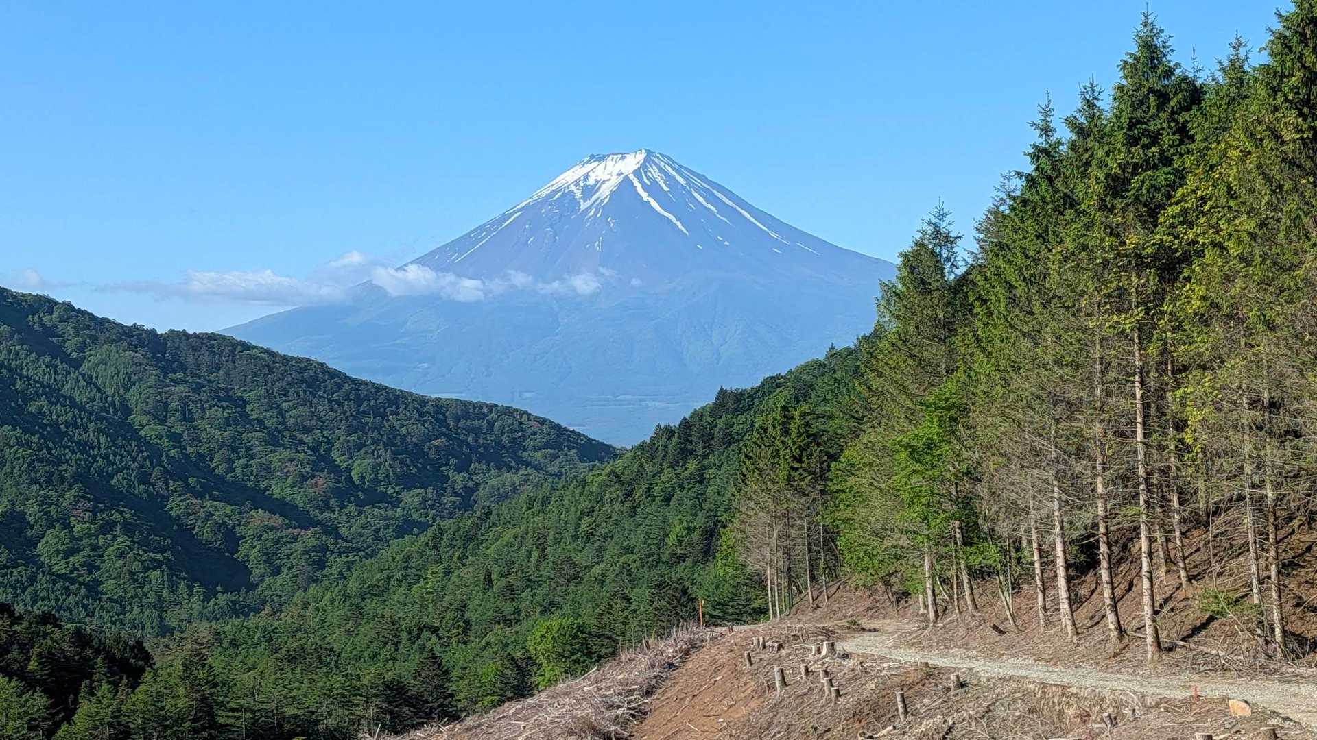 三ッ峠山登山口-大幡八丁峠-清八山-清八峠-本社ヶ丸 往復コースの写真