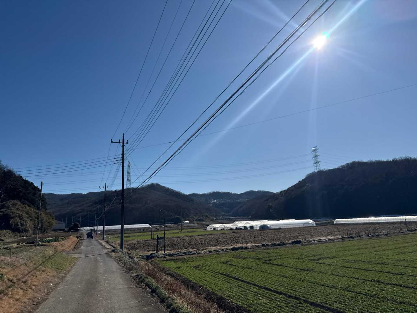 鞍掛山を下山し農道を歩いて大政山の登山口に向かいます