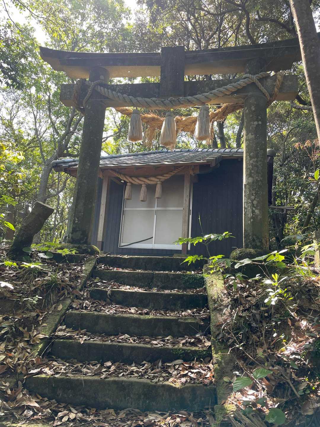 金比羅神社🙏