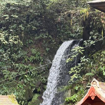 雨続きで琵琶滝が大迫力