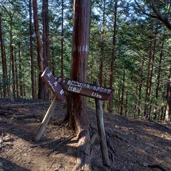 『The地味ピーク』の大倉山720m