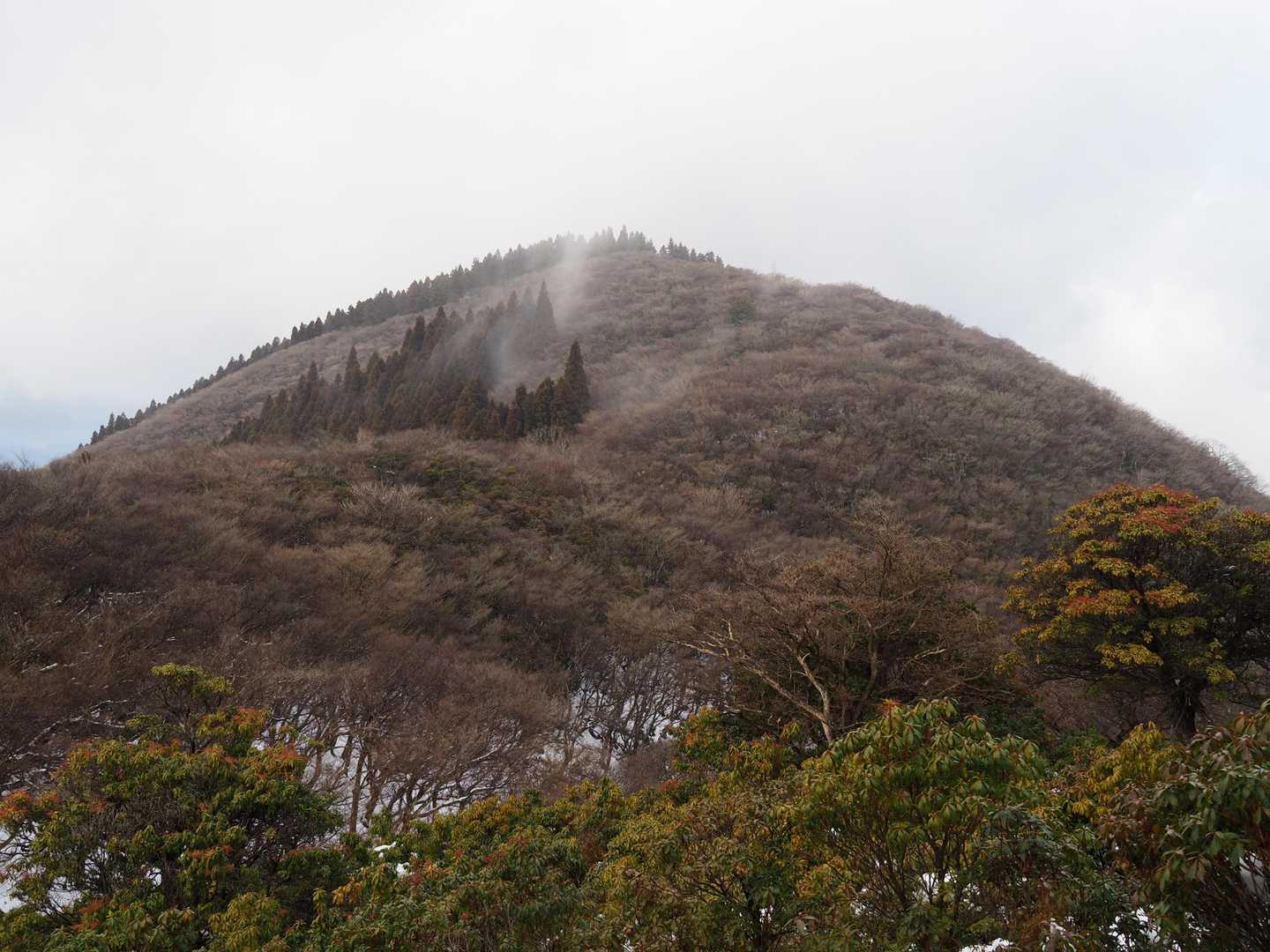 モヒカン頭の地蔵山