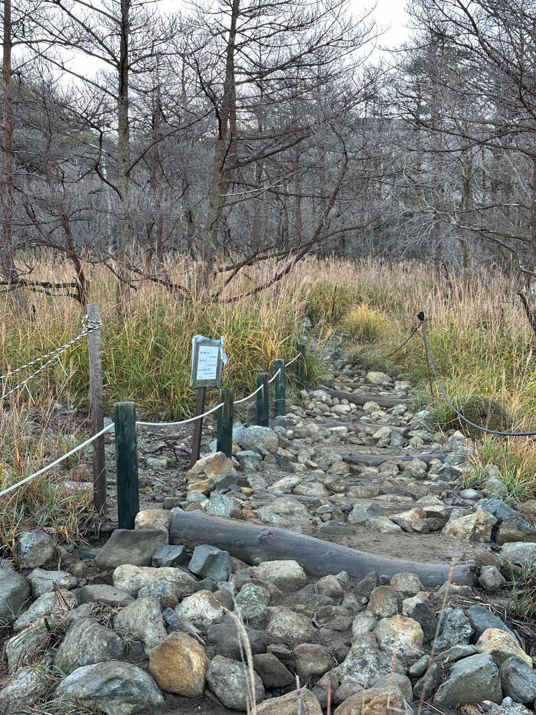 韓国岳登山口-韓国岳-大浪池-つつじヶ丘登山口-つつじヶ丘 周回コースの写真