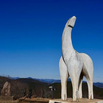 斜めからもいいねぇ。