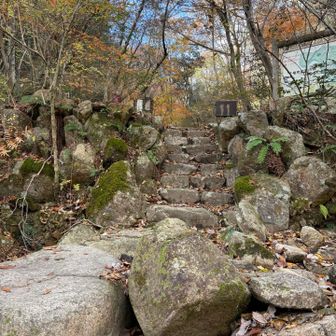 ここ上がったら森林植物園