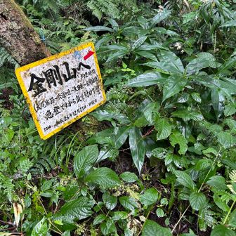 太尾東で登り返し