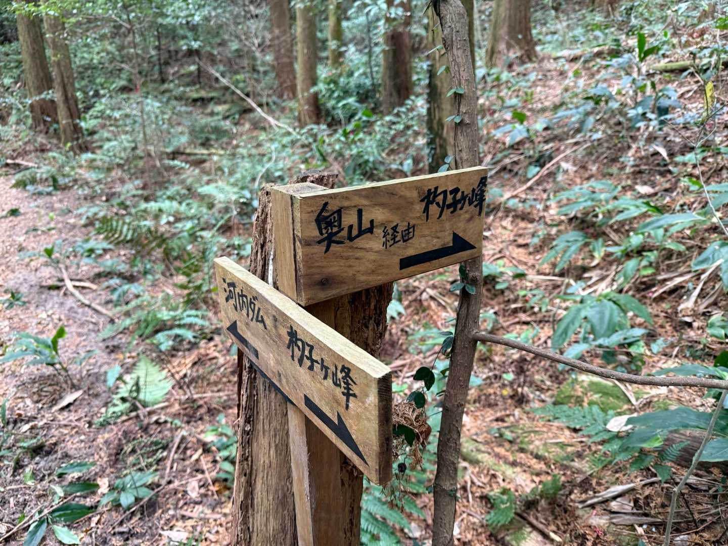 杓子ヶ峰の名前ばかり記憶にあって
あー先に奥山行かなんやったねって話