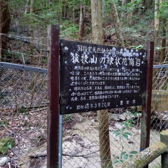 👩うん？球状花崗岩。ボールが落ちてるんか
