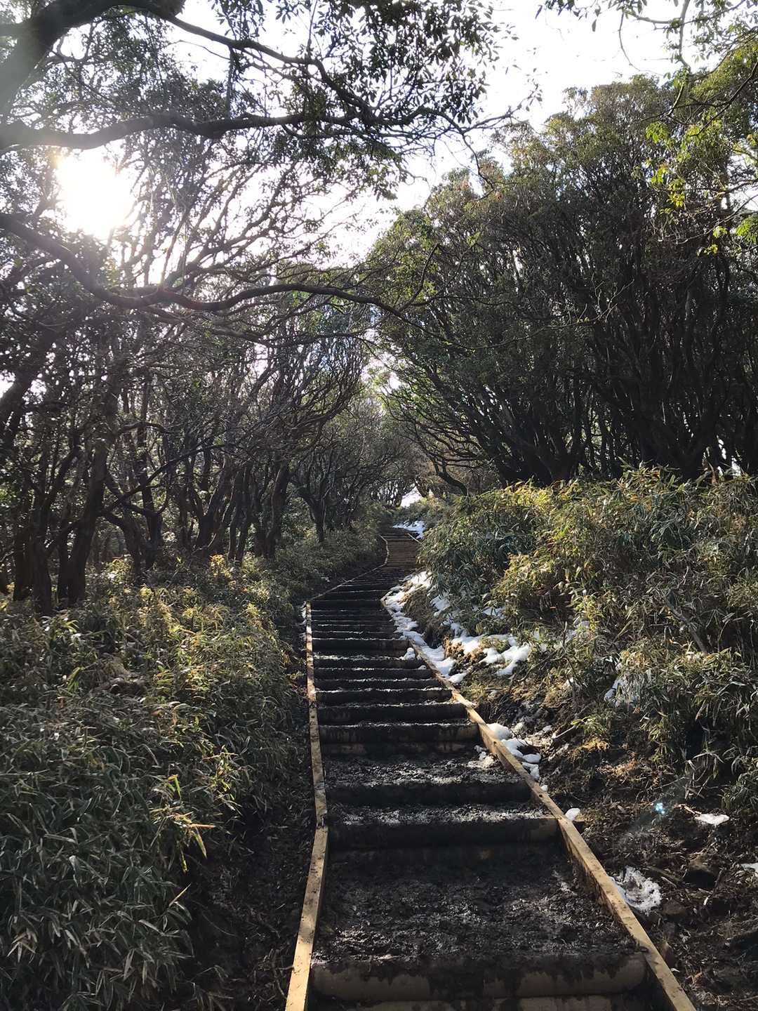 登り始めから階段地獄に雪解けの登山道😱