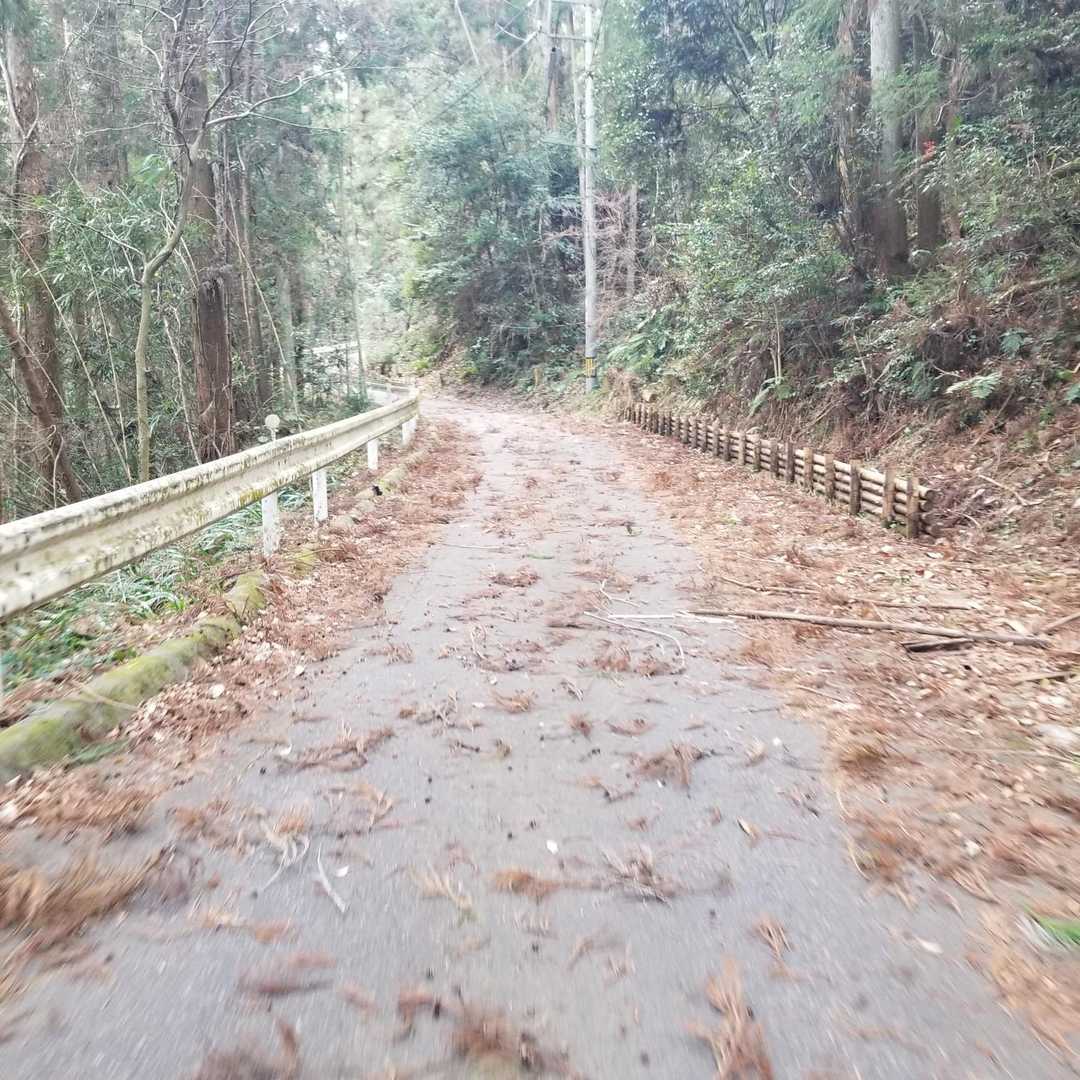 大谷山展望台入り口-大谷山 往復コースの写真