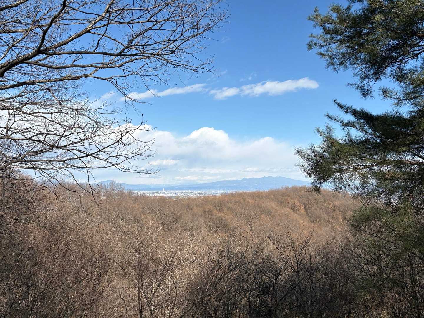 山頂の展望台から