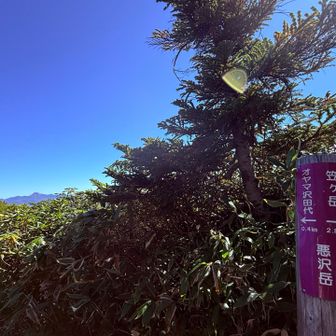 途中で　ちょっと寄り道で悪沢岳
全く展望も無く　通過点のようです
引き返します
