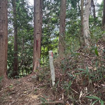 万才山